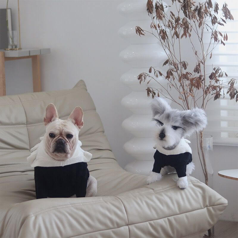 dog sweater luxury
