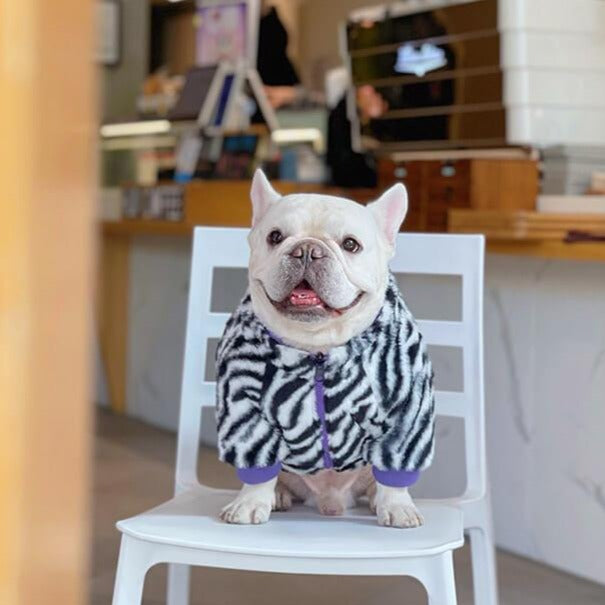 Dog Winter Zebra Zipper Up Jacket Coat FOR FRENCH BULLDOGS 