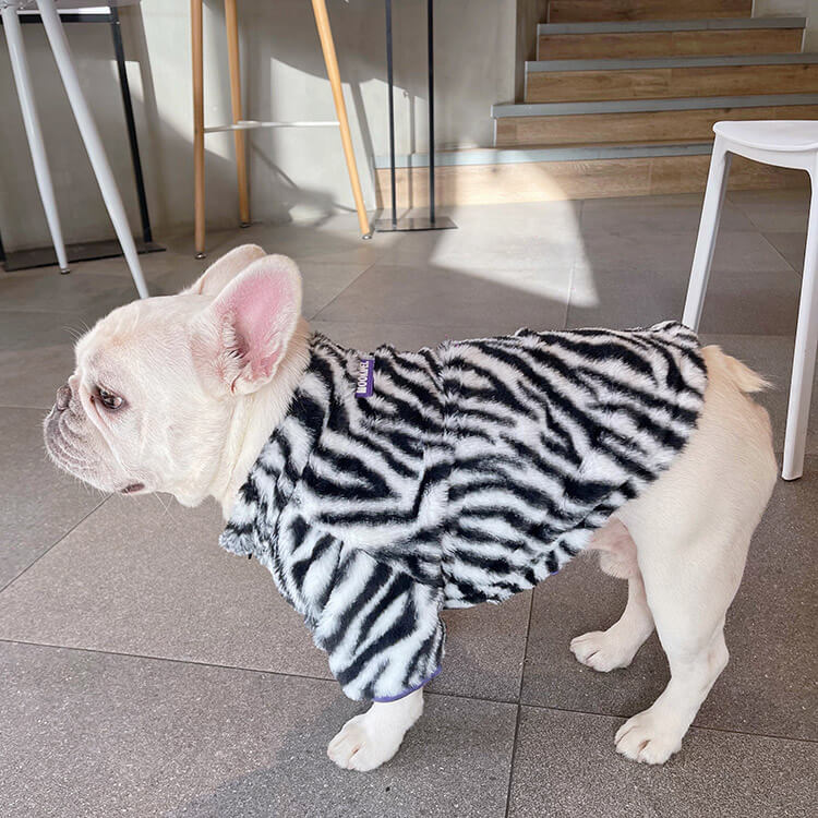 Dog Winter Zebra Zipper Up Jacket Coat FOR FRENCH BULLDOGS 
