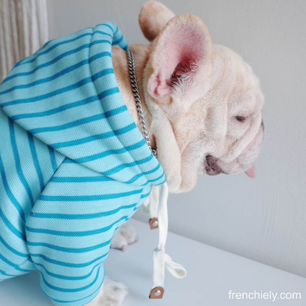 Dog Blue Stripe Hoodie for small medium dogs by Frenchiely