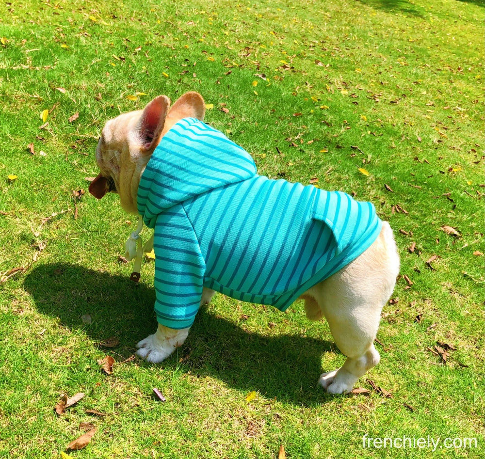 Dog Blue Stripe Hoodie for small medium dogs by Frenchiely