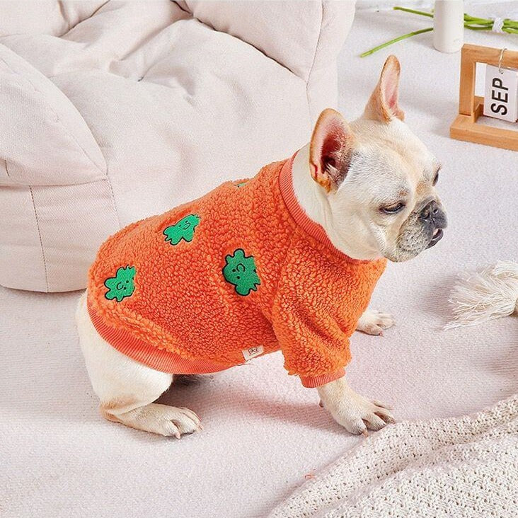 dog winter winter clothes for french bulldogs
