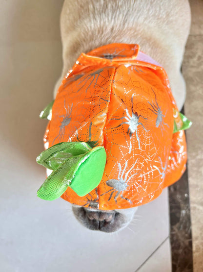 dog walking pumpkin costume