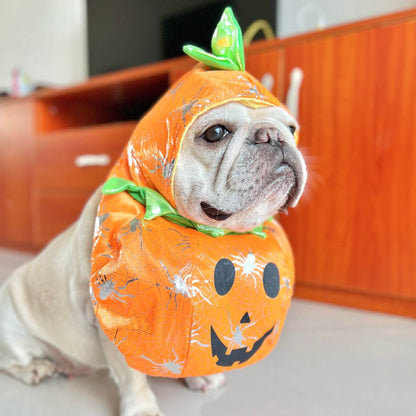 funny dog pumpkin costume