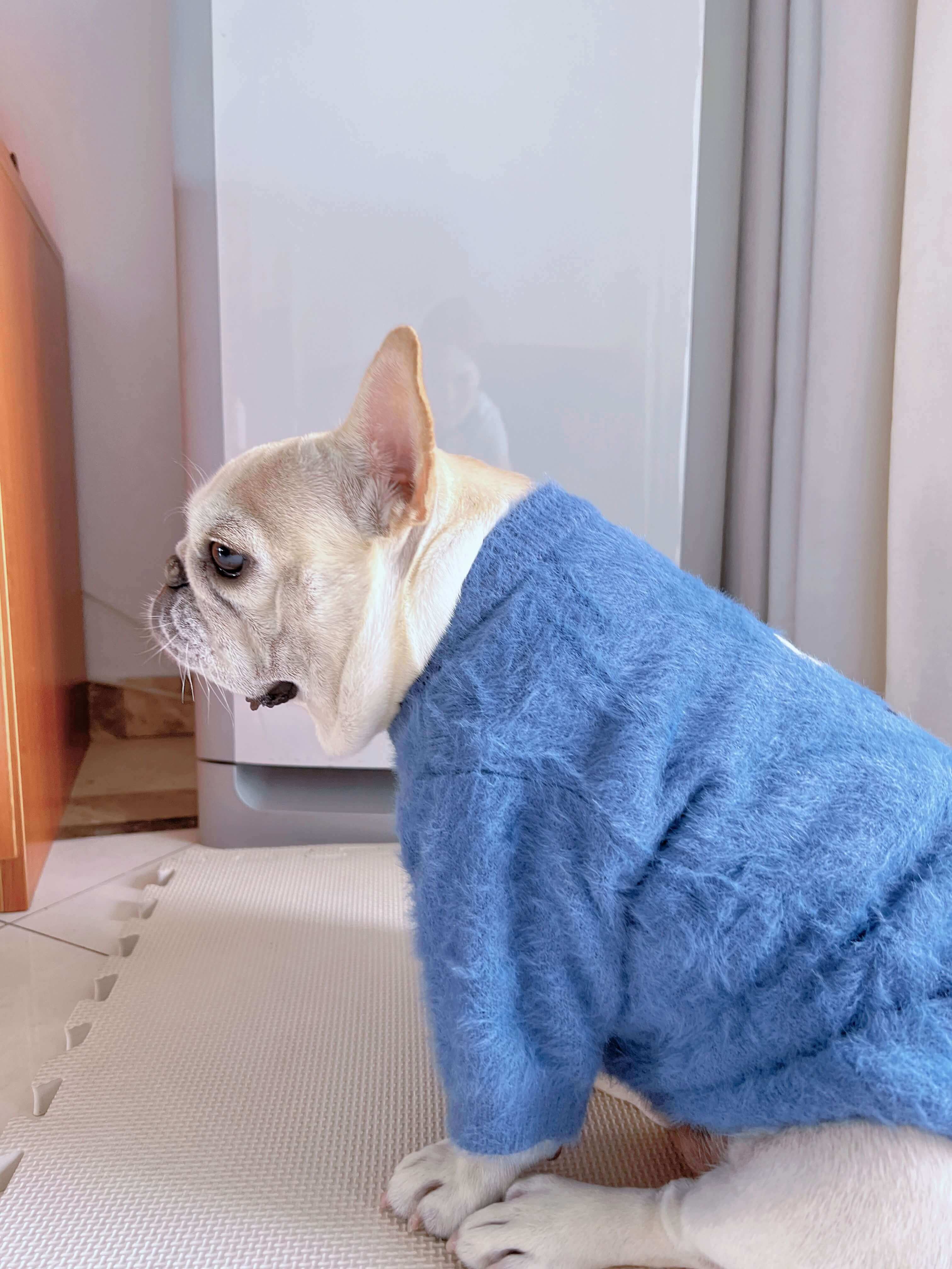 Frenchiely dog winter clothes