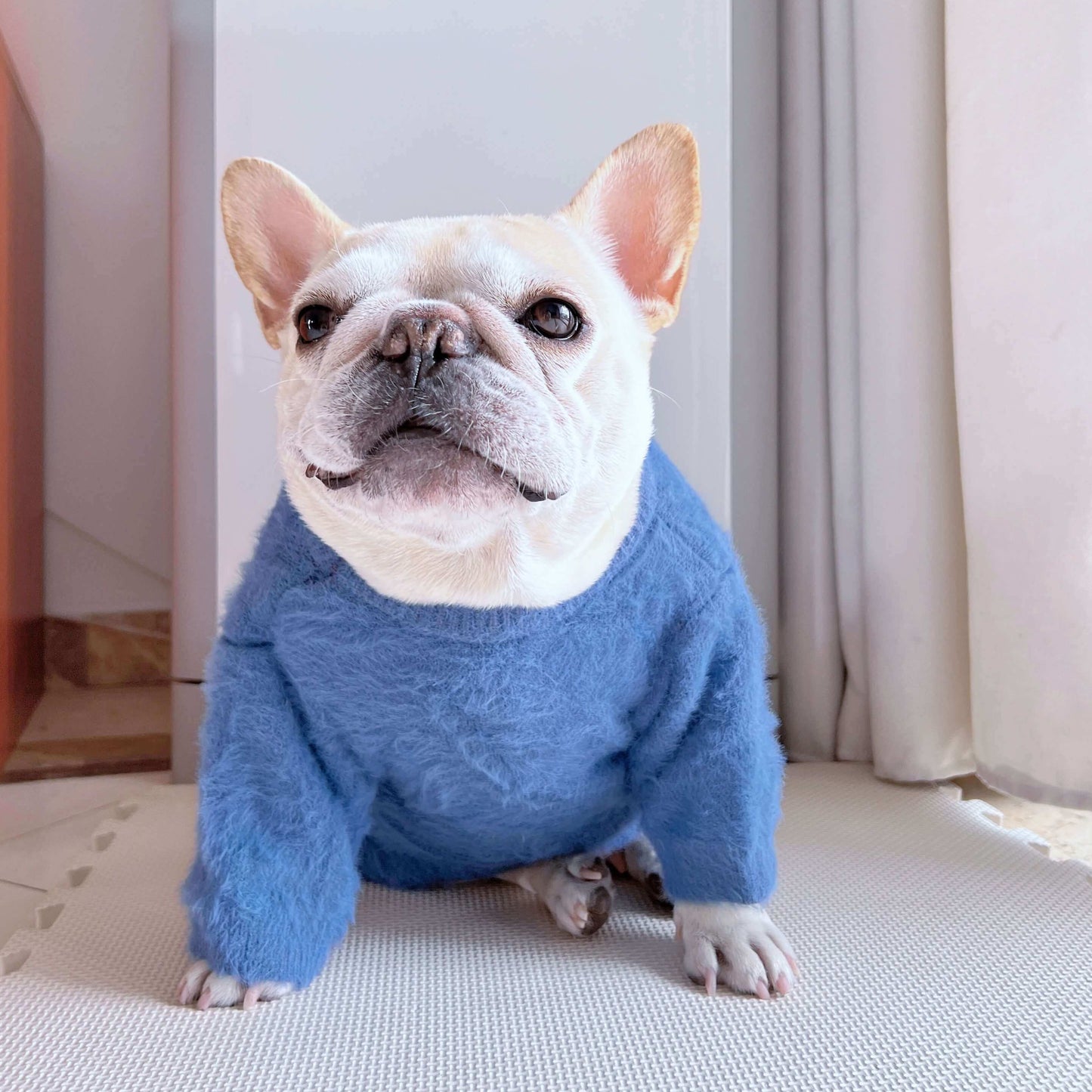 Dog blue warm winter clothes for medium dogs