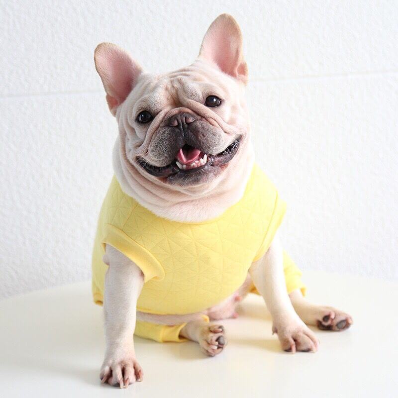 Dog Cartoon Panda Pajamas Onesie for French Bulldogs by Frenchiely 