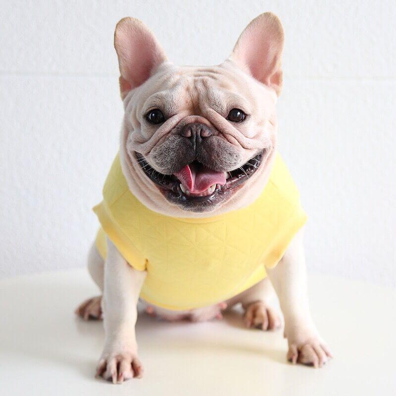 Dog Cartoon Panda Pajamas Onesie for French Bulldogs by Frenchiely 