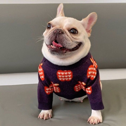 Dog Apple Sweater - Frenchiely