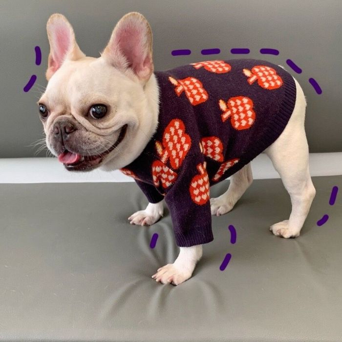 Dog Apple Sweater - Frenchiely
