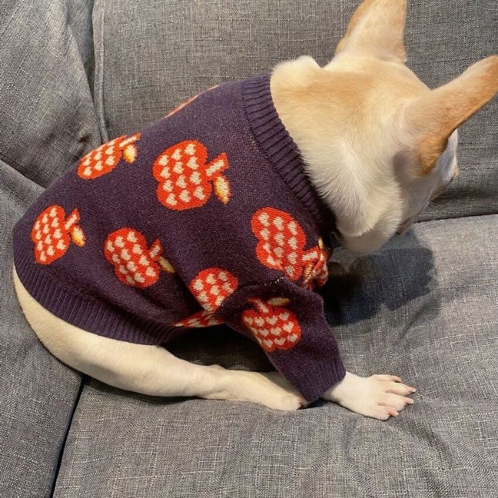 Dog Apple Sweater - Frenchiely