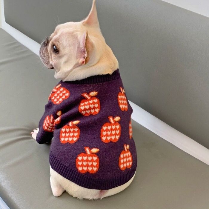 Dog Apple Sweater - Frenchiely
