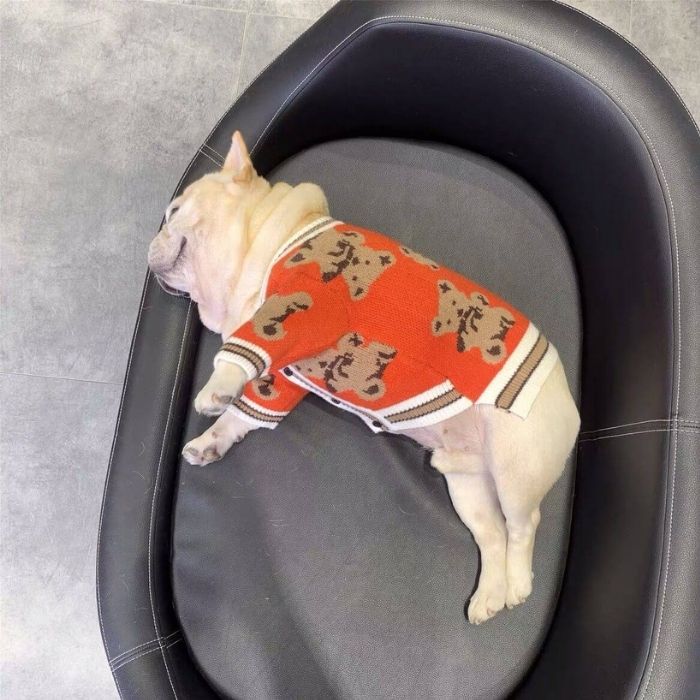 Dog Cartoon Bear Cardigan Sweater for Bulldogs by Frenchiely 