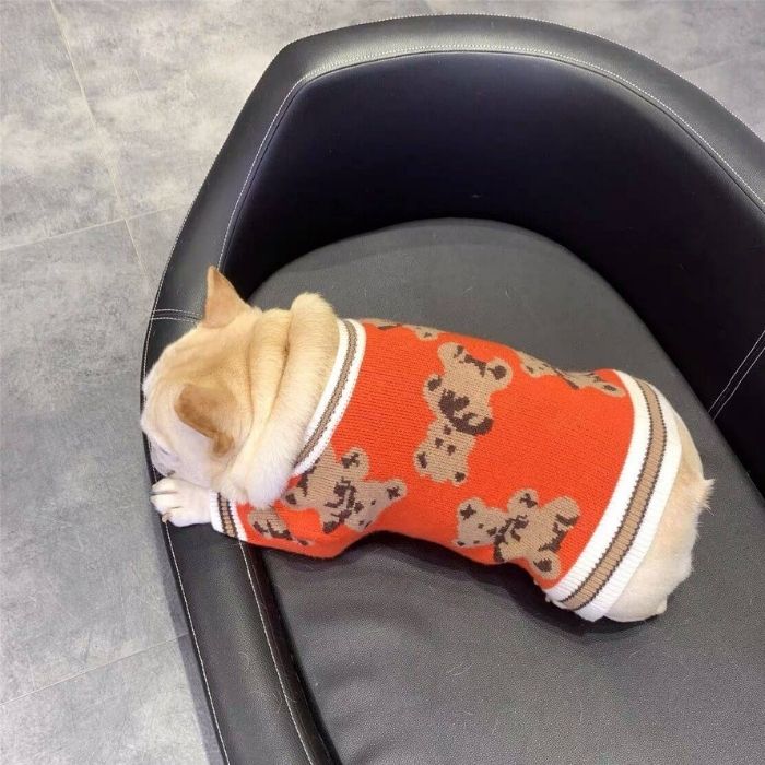 Dog Cartoon Bear Cardigan Sweater for Bulldogs by Frenchiely 