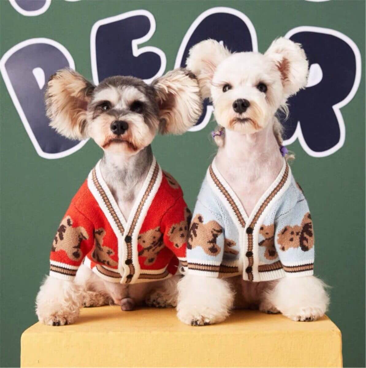 Dog Cartoon Bear Cardigan Sweater for Bulldogs by Frenchiely 