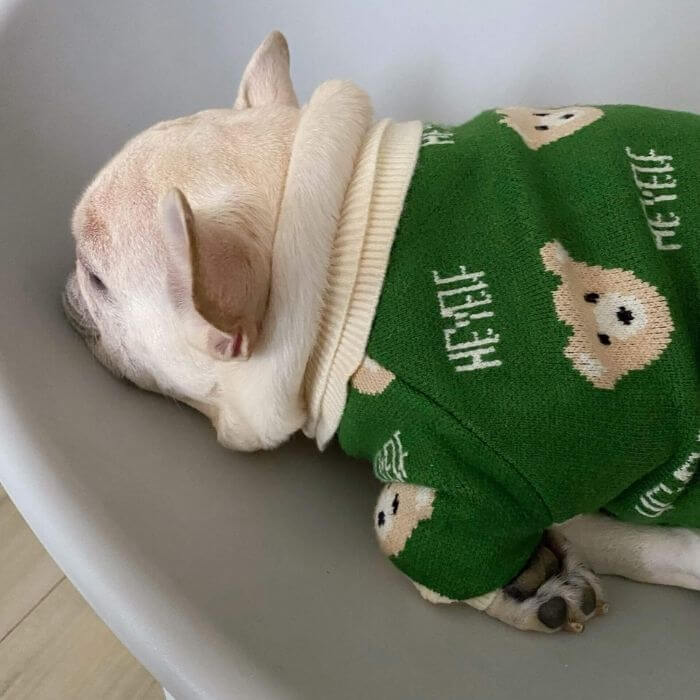 Dog Cartoon Bear Pullover Sweater for Small Medium Dogs BY FRENCHIELY