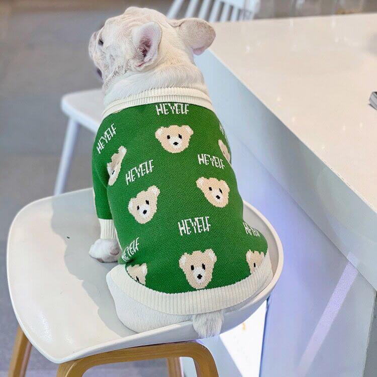 Dog Cartoon Bear Pullover Sweater for Small Medium Dogs BY FRENCHIELY