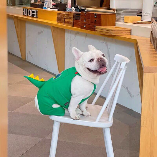 Dog Cartoon Dinosaurs Costume Overalls for Medium Large Dogs by Frenchiely 