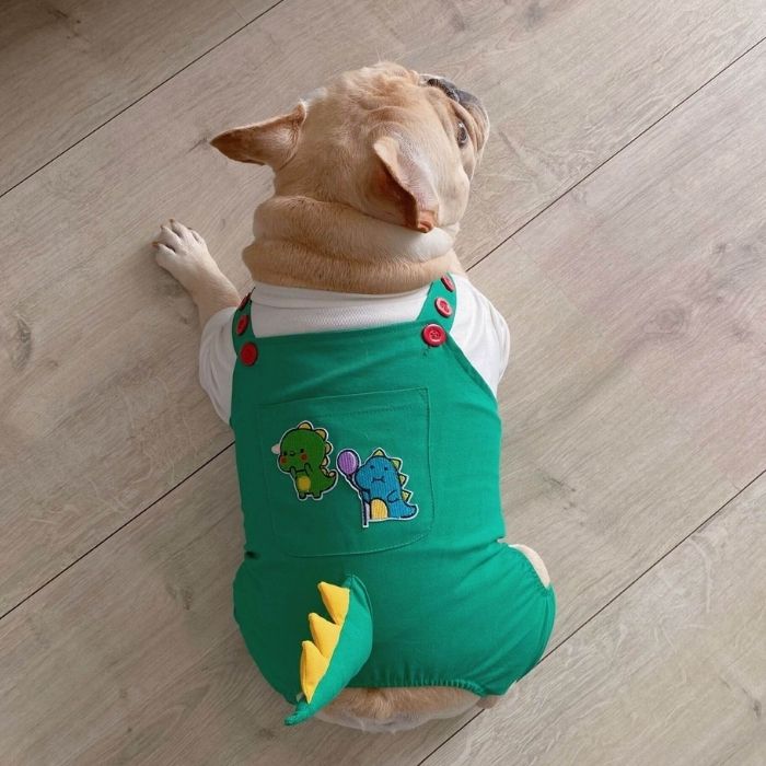 Dog Cartoon Dinosaurs Costume Overalls for Medium Large Dogs by Frenchiely 