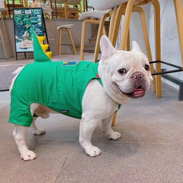 Dog Cartoon Dinosaurs Costume Overalls for Medium Large Dogs by Frenchiely 