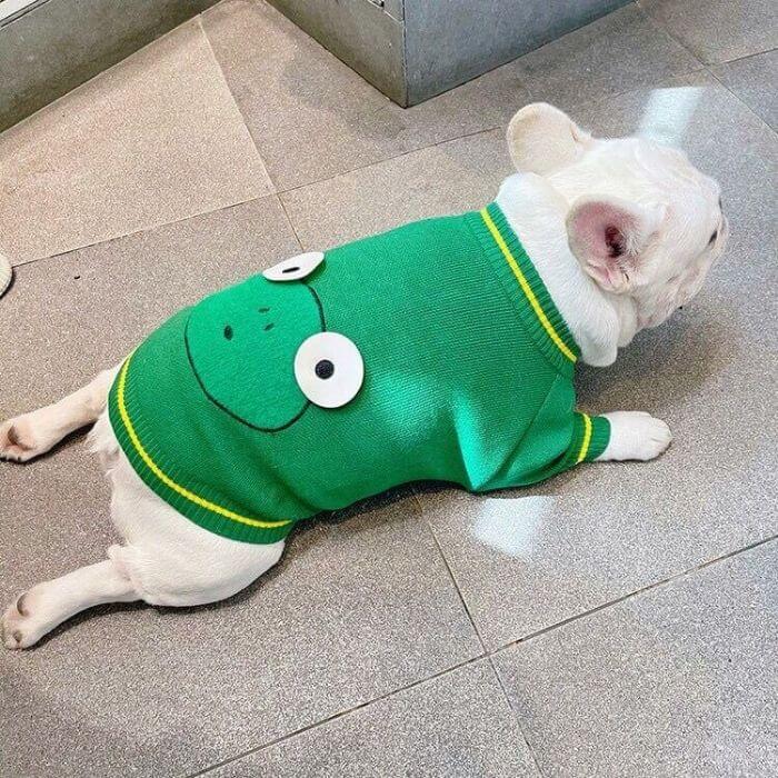 Dog Cartoon Frog Pullover Sweater for Small Medium Dogs FRENCHIELY 2021 DOG FASHION 