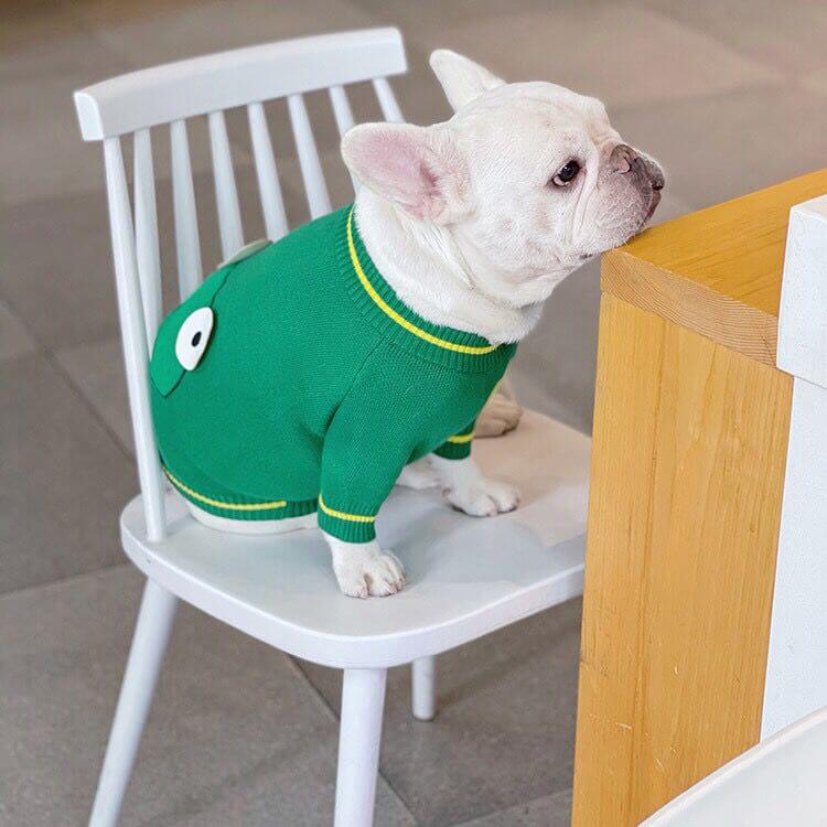 Dog Cartoon Frog Pullover Sweater for Small Medium Dogs FRENCHIELY 2021 DOG FASHION 