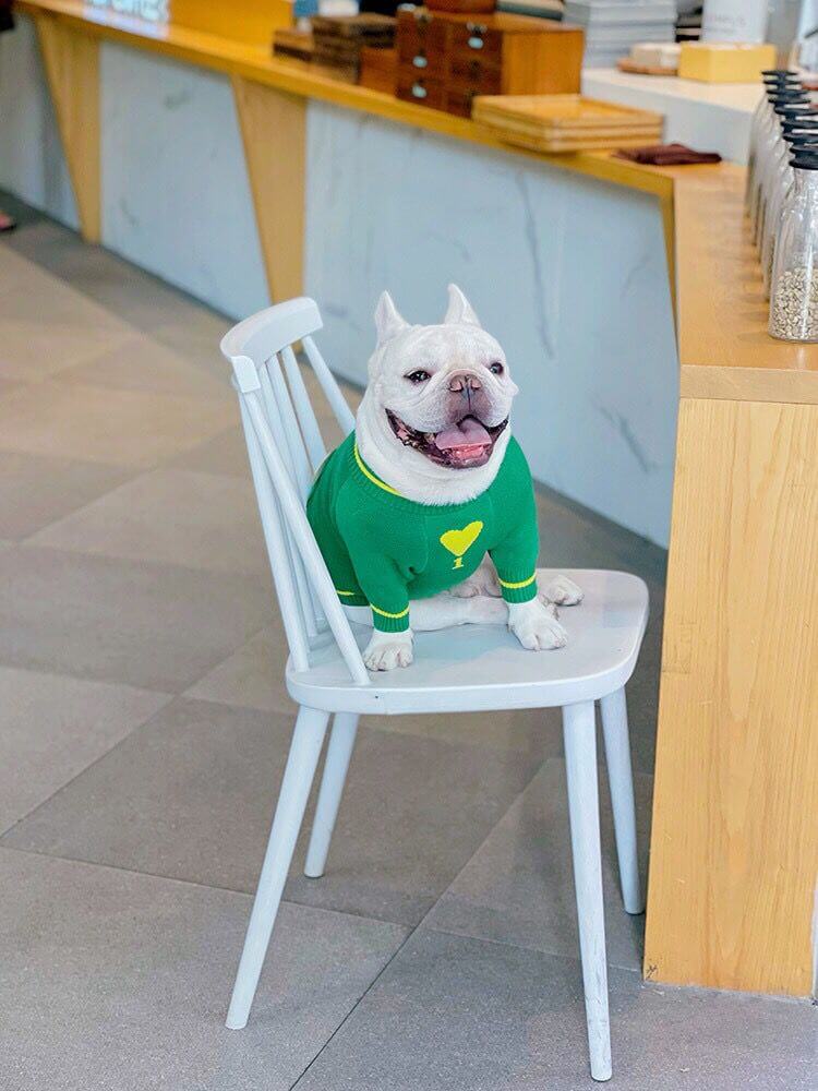 Dog Cartoon Frog Pullover Sweater for Small Medium Dogs FRENCHIELY 2021 DOG FASHION 