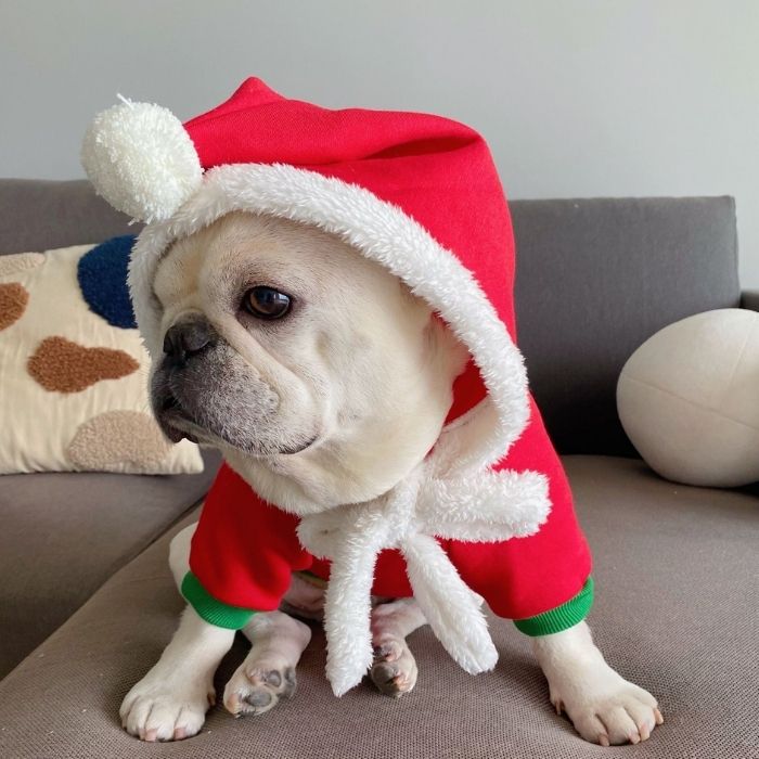 Dog Christmas Outfits Hoodie for Medium Dogs by Frenchiely 