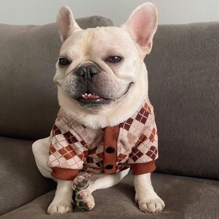Dog Classic Stretchy Cardigan for Medium Large Dogs by Frenchiely 