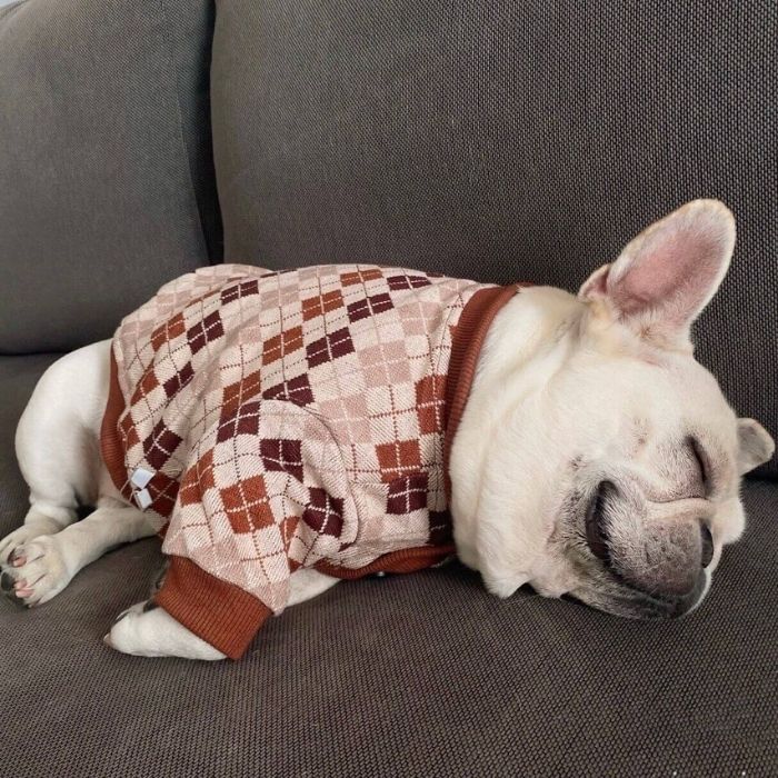 Dog Classic Stretchy Cardigan for Medium Large Dogs by Frenchiely 