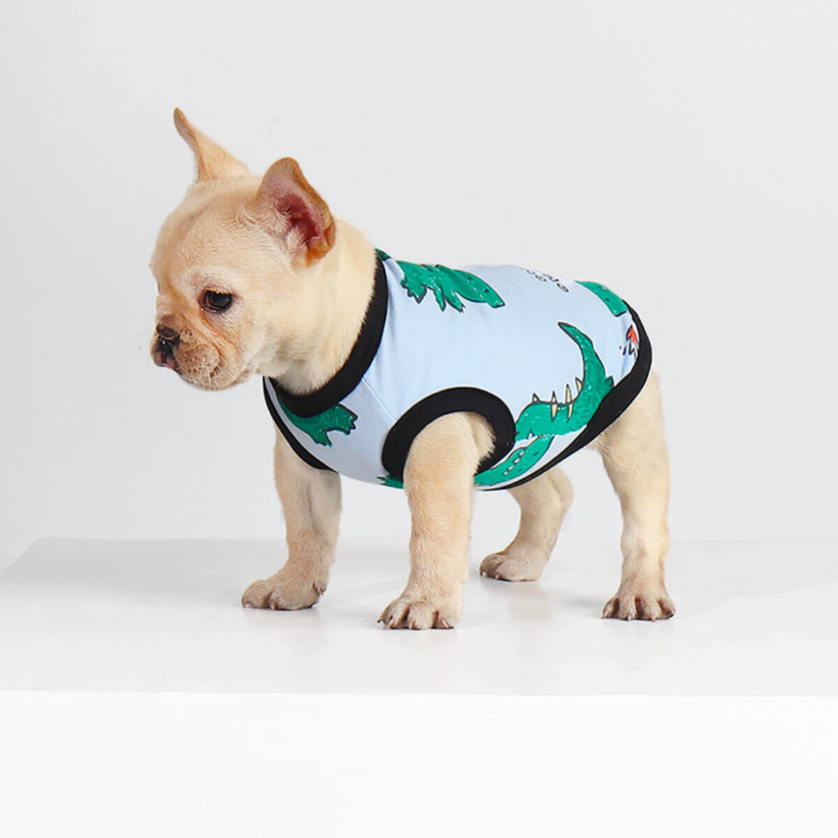 dog cartoon dinosaurs shirts for medium dogs by Frenchiely