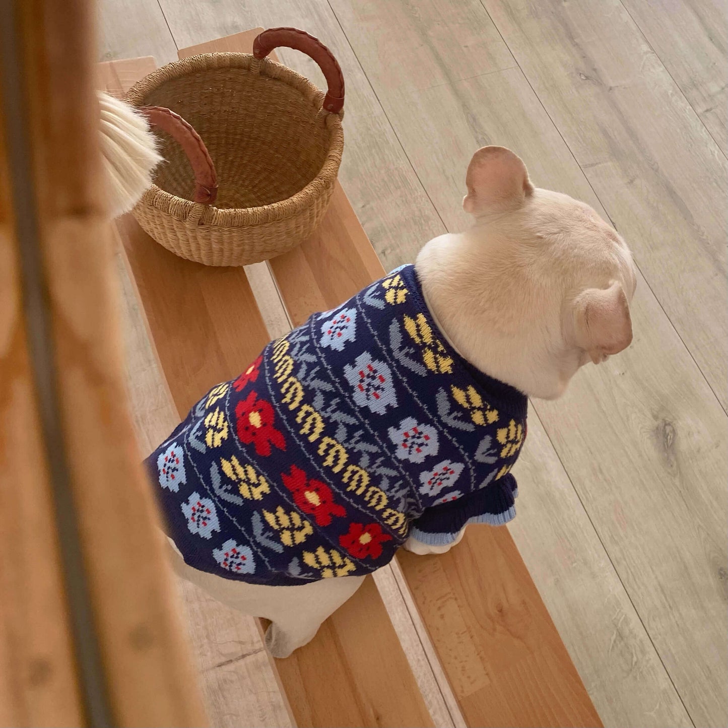 dog winter warm sweater for small medium dogs