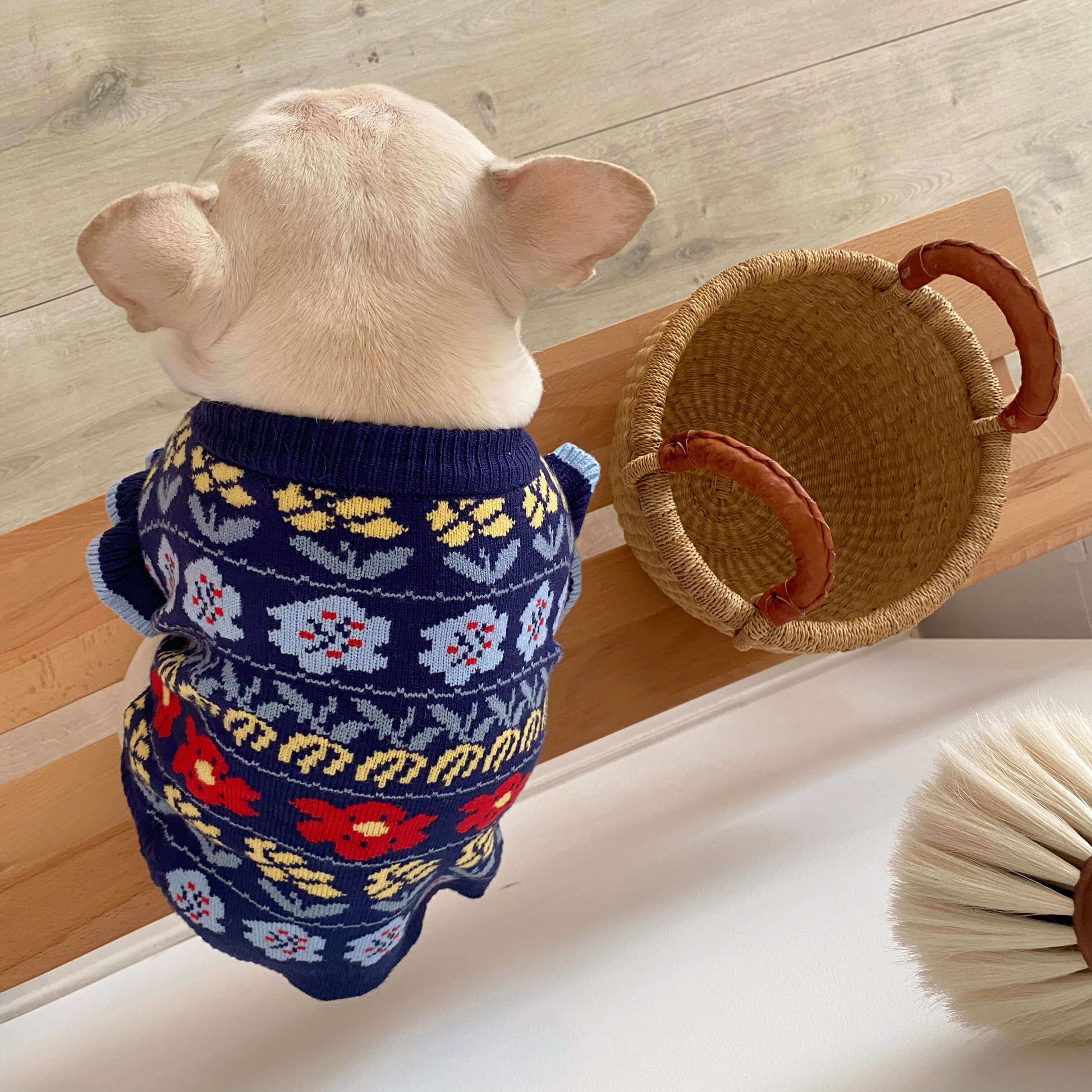 dog warm sweater for winter