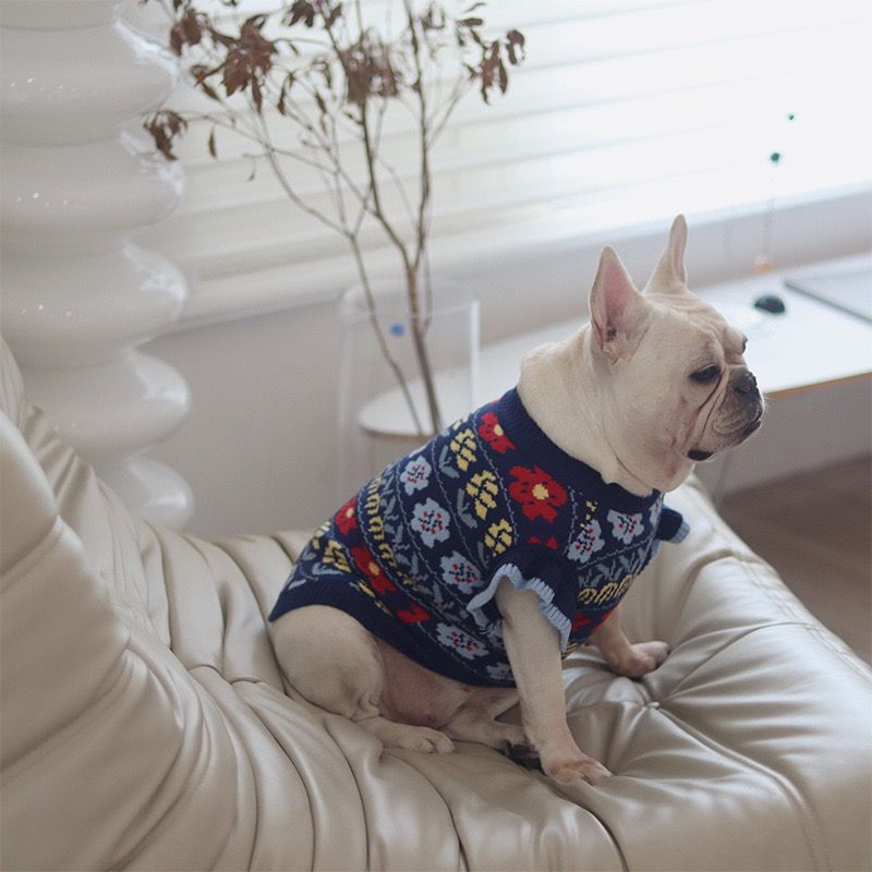 dog sweater for boston terrier