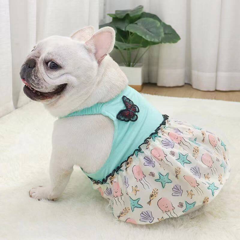 Dog Summer Lace Blue Dress with Butterfly by Frenchiely 