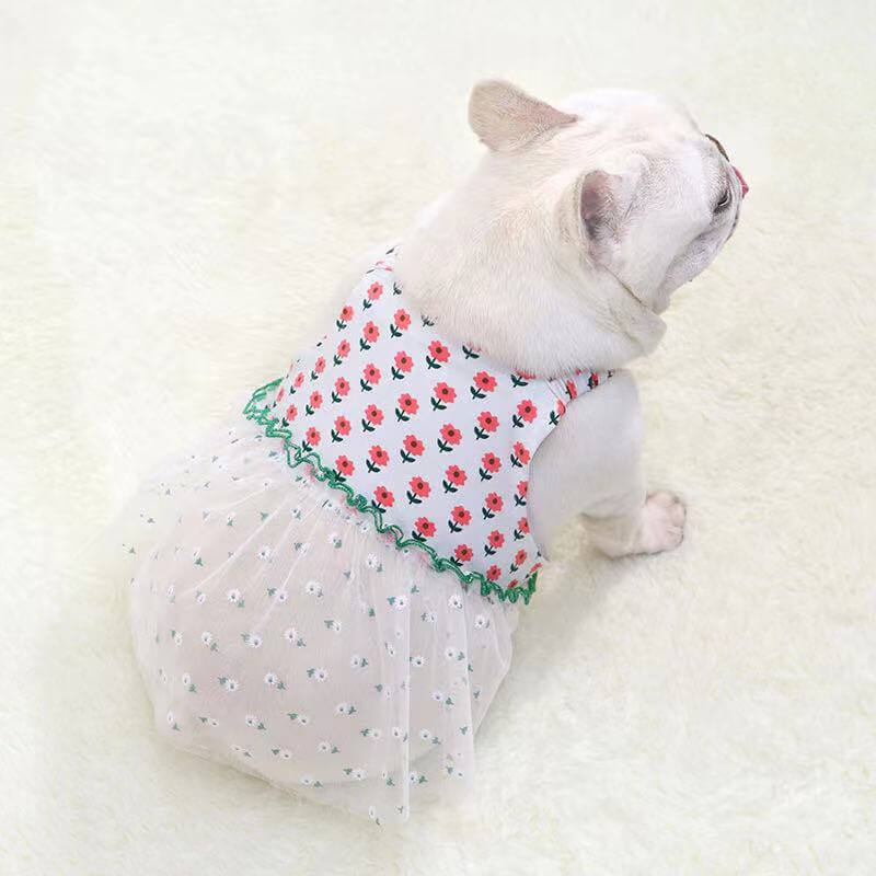 Dog Summer Lace Floral Dress  by Frenchiely