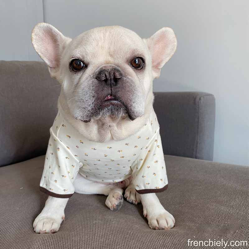 Dog Floral Cotton Shirt in pink for small medium dogs by Frenchiely 
