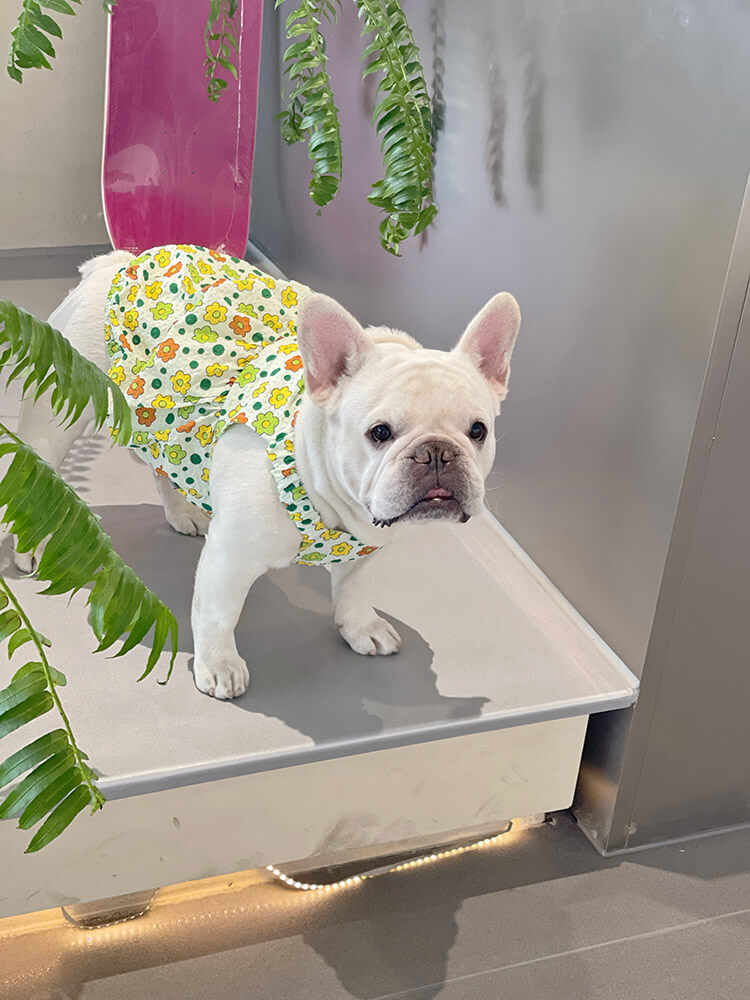Dog Green Floral Dress for small medium dogs by Frenchiely