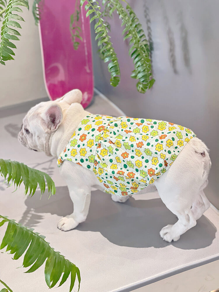 Dog Green Floral Dress for small medium dogs by Frenchiely