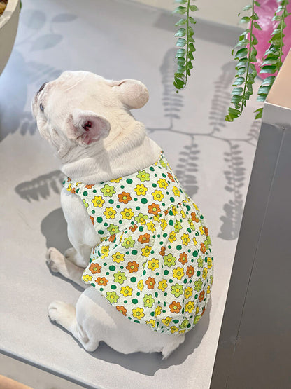 Dog Green Floral Dress for small medium dogs by Frenchiely
