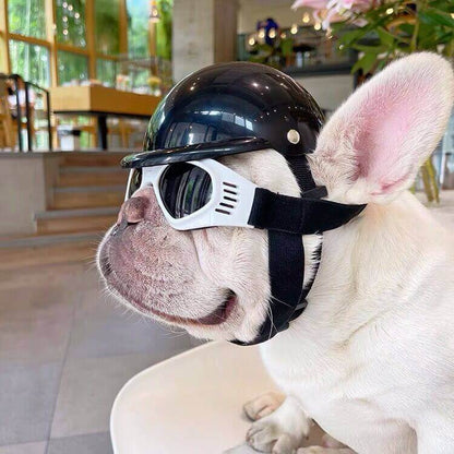 French Bulldog Sunglasses Dog Goggles- Updated Version by Frenchiely 