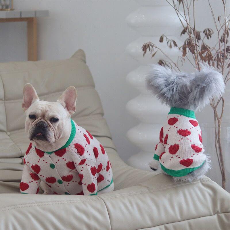 Dog Christmas Cardigan Outfit for small medium dogs 