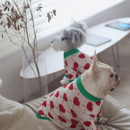 french bulldog winter Christmas outfits