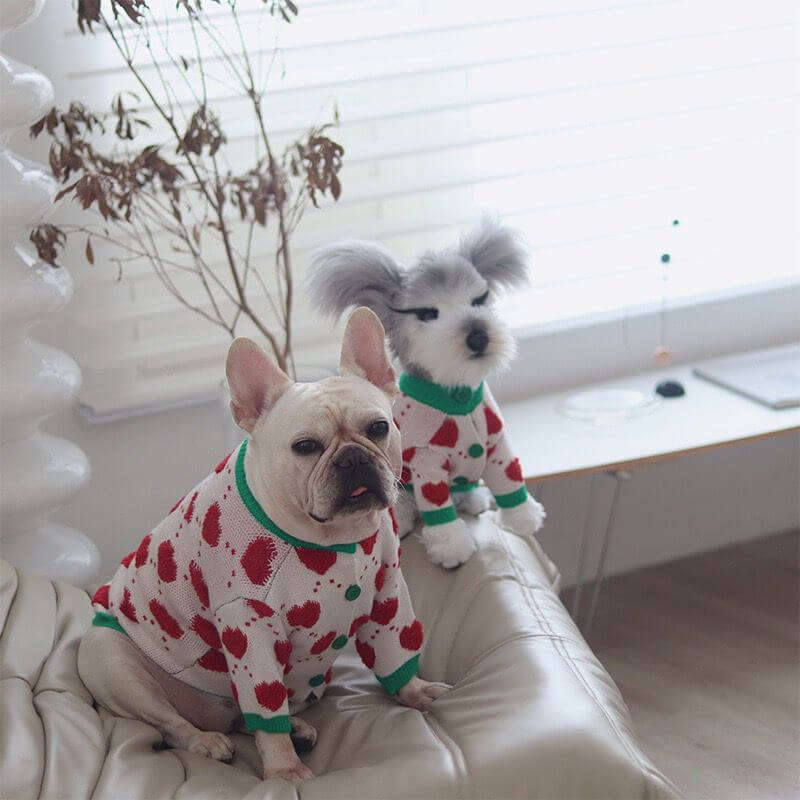 dog Christmas outfits cardigan