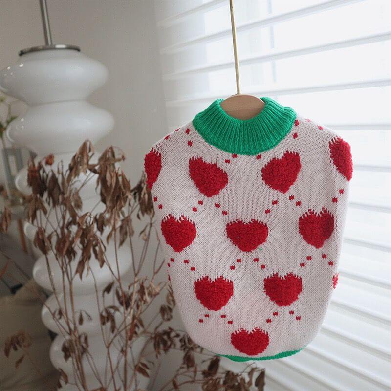 dog clothes for Christmas
