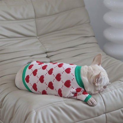 dog Christmas outfits clothes 