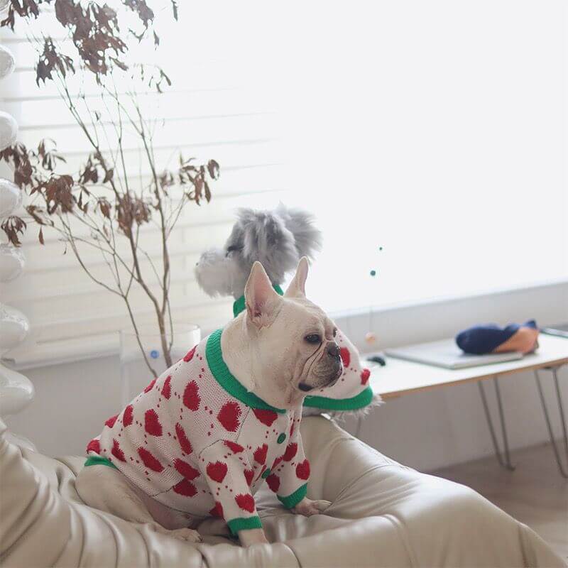 french bulldog winter cardigan sweater