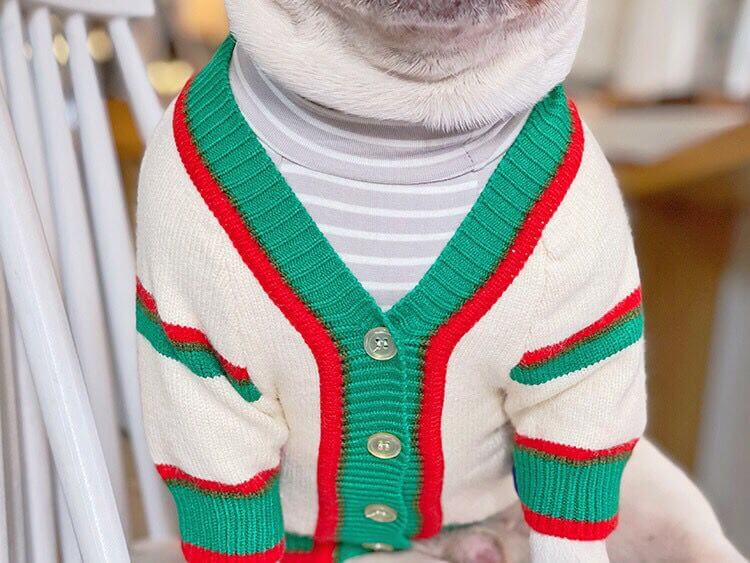 Dog Stylish Beige & Green Cardigan Sweater for French Bulldogs by Frenchiely 