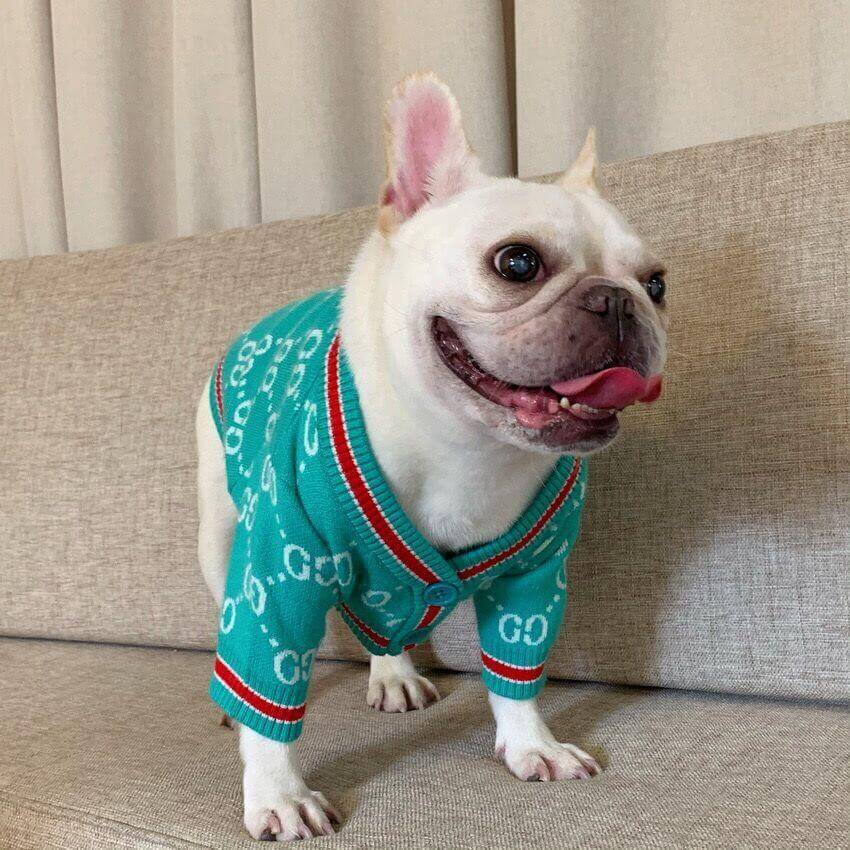 Dog Green Stylish Cardigan Sweaters for Medium Dogs BY FRENCHIELY
