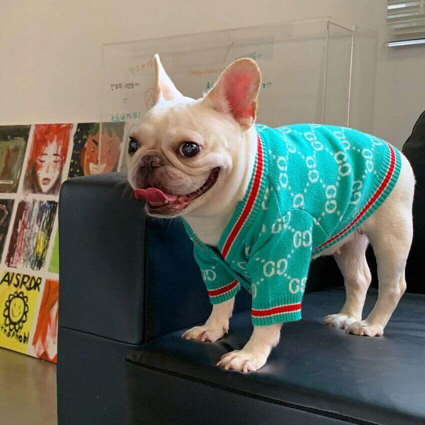Dog Green Stylish Cardigan Sweaters for Medium Dogs BY FRENCHIELY